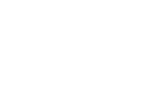 mini-logo-icon