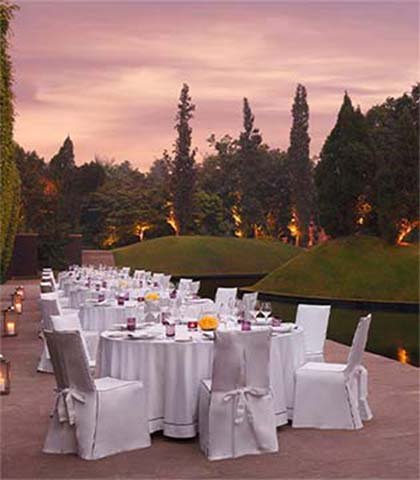 Celebrate The Season of Joy Across Roseate Hotels & Resorts